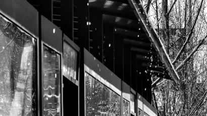 PlayFrank Kazino Mobilā lietotne